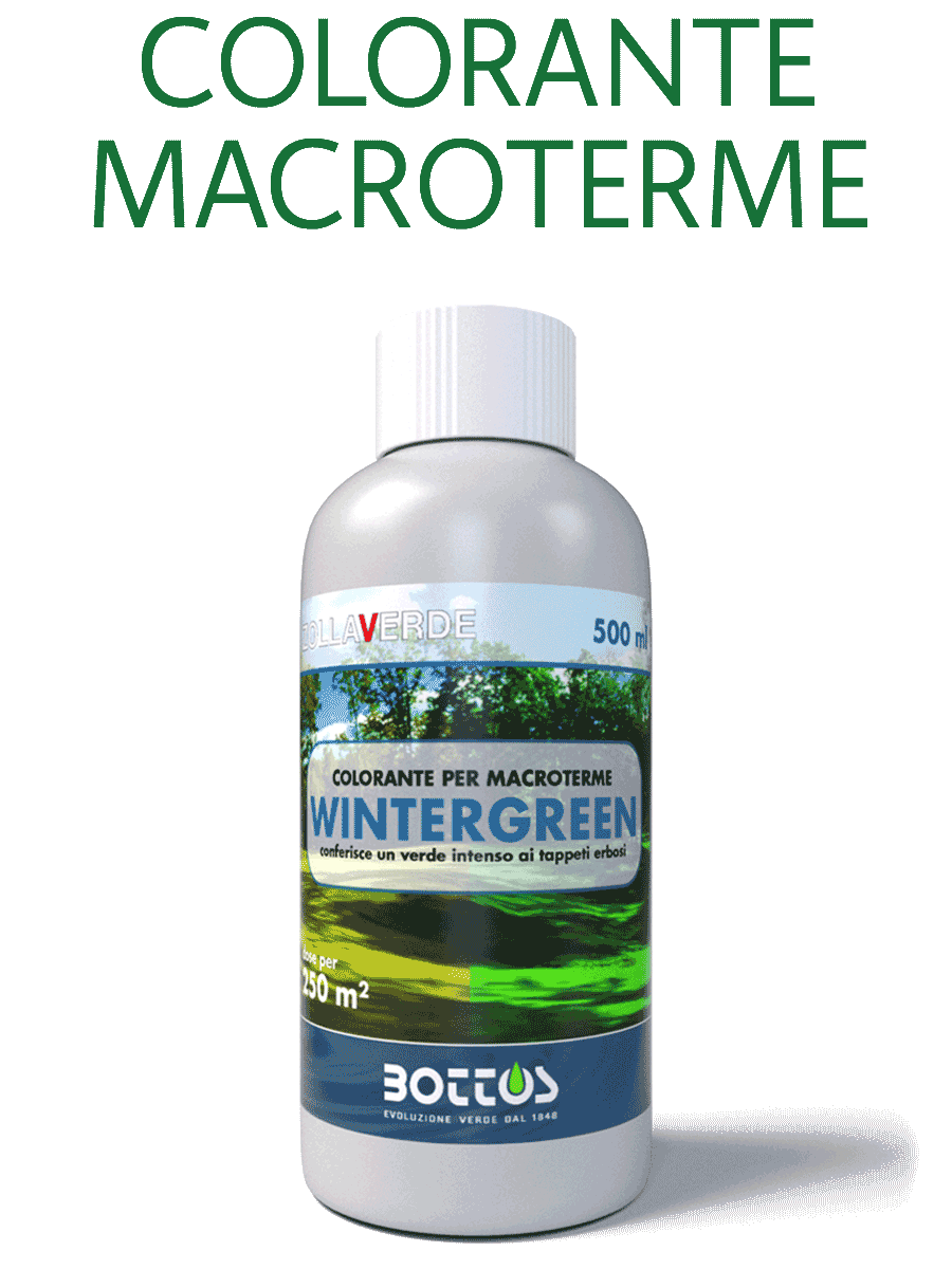 Colorante per prato macroterme Wintergreen Zollaverde Bottos, flacone da 500 ml