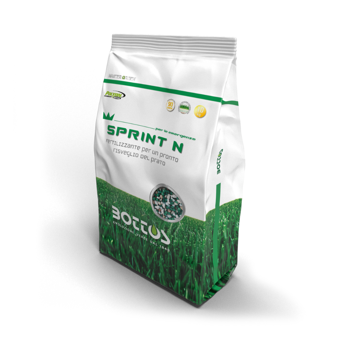 SPRINT N