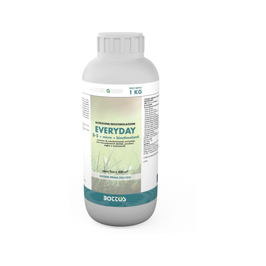 Concime liquido Everyday 8-0-5 Master Green Bottos, flacone da 1 kg