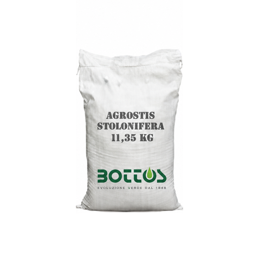 Seme di Agrostis stolonifera Proclamation Bottos, sacco da 11,35 kg