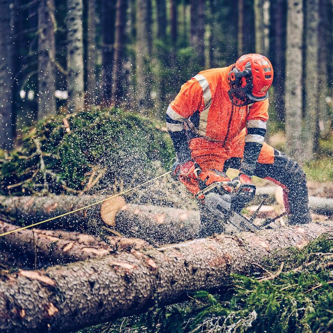 Motosega HUSQVARNA 560 XP® Mark II in uso